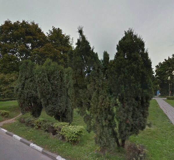 Банкомат банка Россия по адресу мкр. Лебединец,  д. 1а